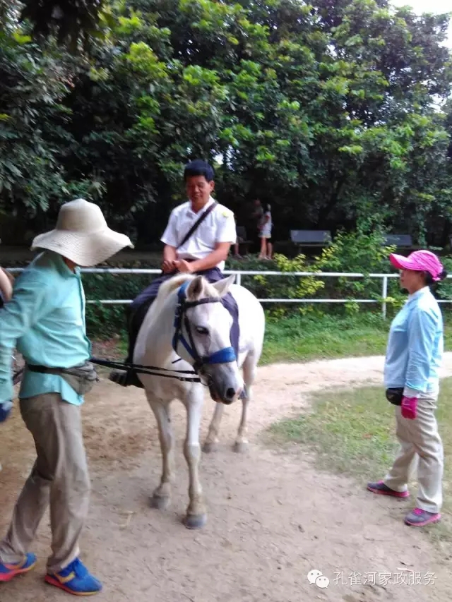 ���ҷ���׌��������á�2015��B�T�м�����(ji��)���(d��ng)��