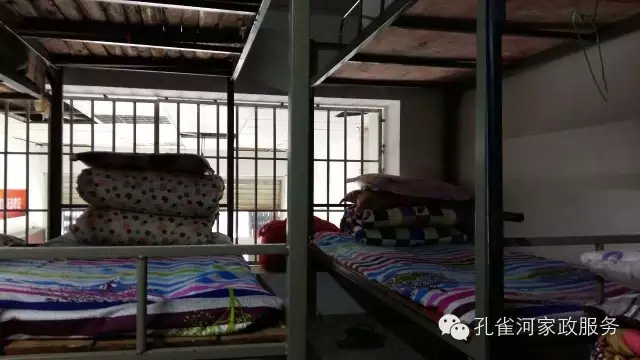 ��ȸ�Ӽ�����ķ������ů��ů��������