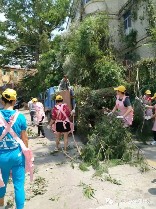 ��������y���������