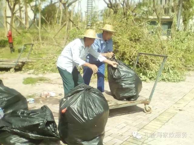 ��������y���������