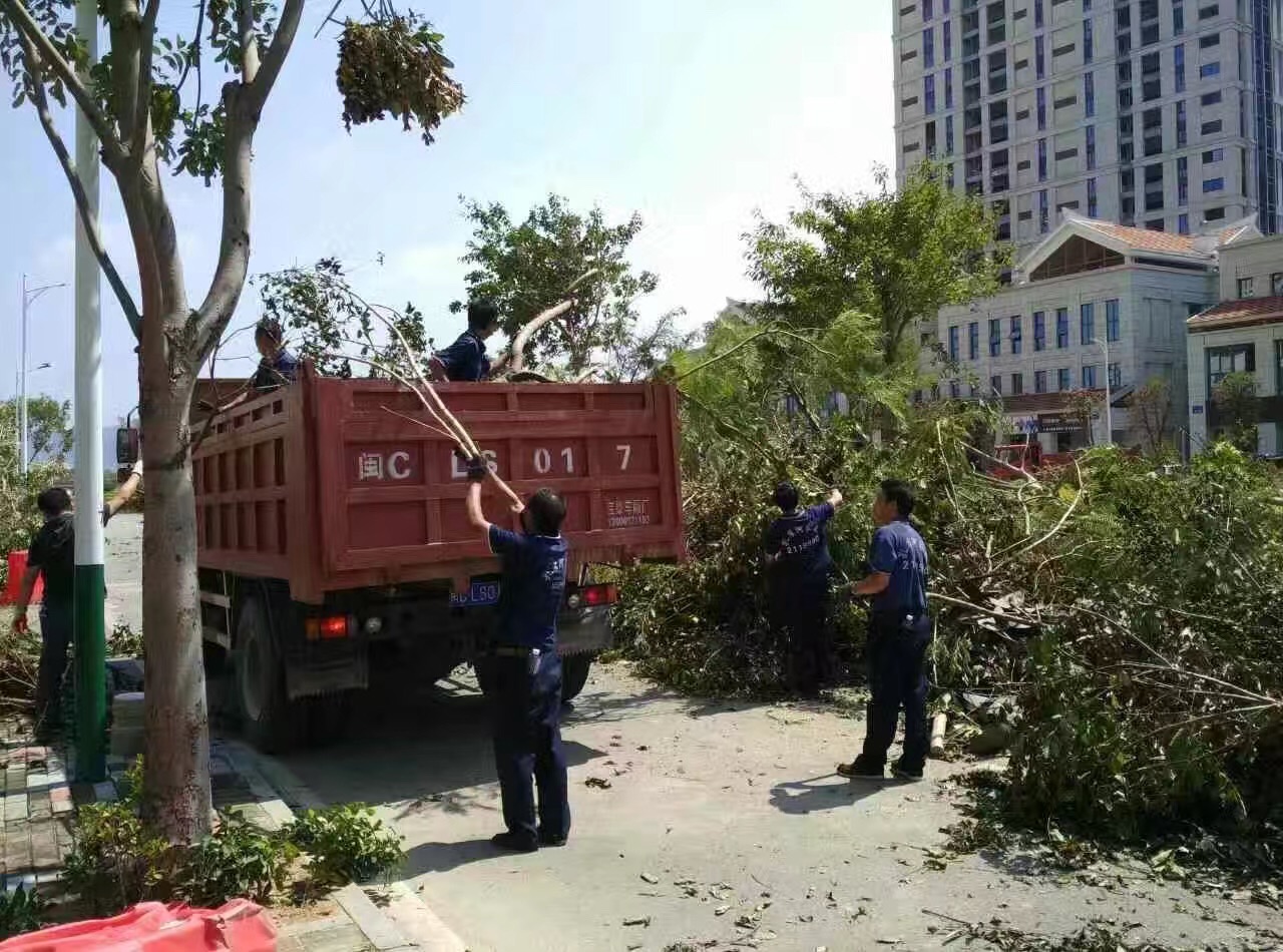 �B�T(m��n)������˾������(z��i)���ؽ��x�����(d��ng)