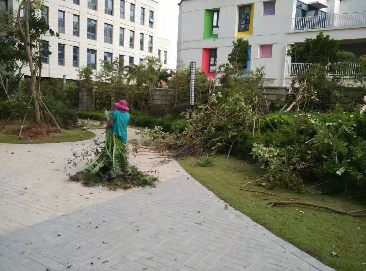 �B�T(m��n)������˾������(z��i)���ؽ��x�����(d��ng)