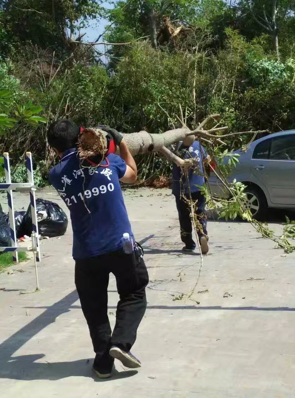 �B�T(m��n)������˾������(z��i)���ؽ��x�����(d��ng)