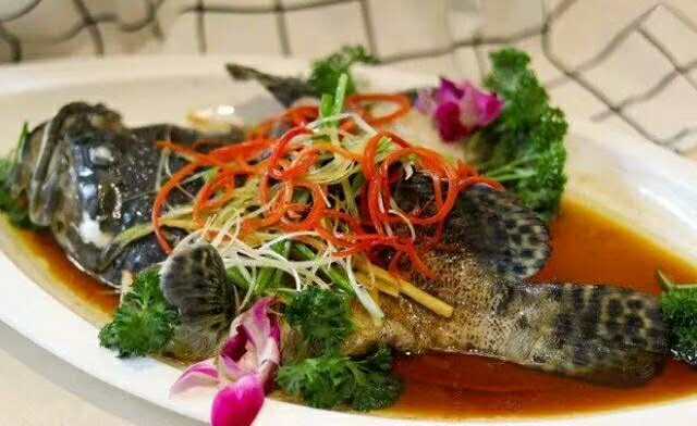 ��ɩ ����(ji��)��ķ����(w��)